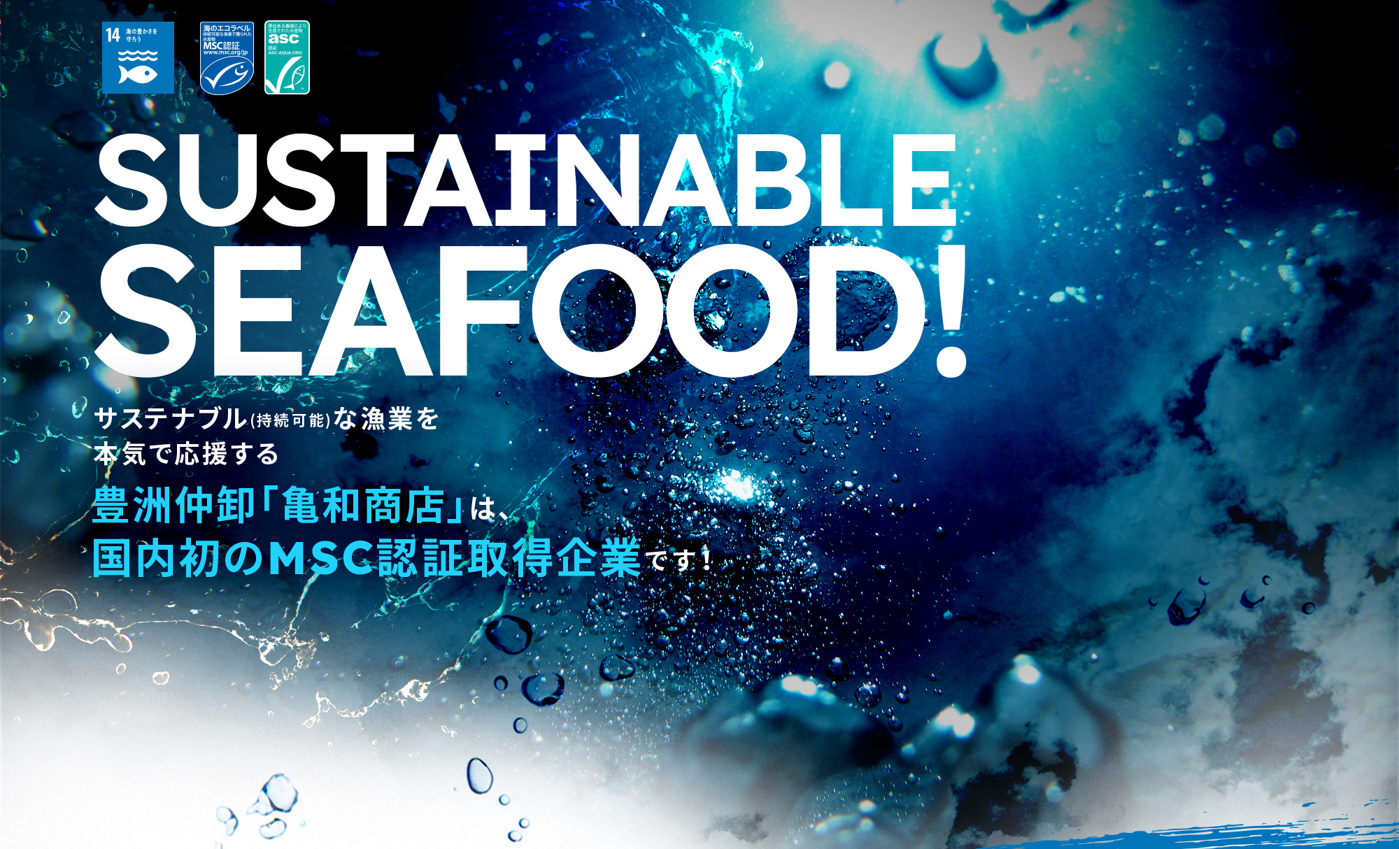 サステナブル(持続可能)な漁業を本気で応援する豊洲仲卸「亀和商店」は、国内初のMSC認証取得企業です！